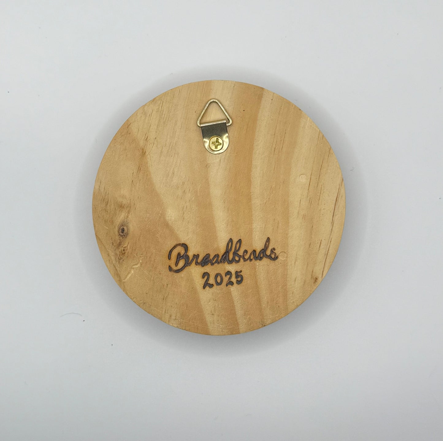 Enchanted Wings Wall Charm